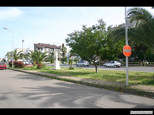 largvis (2)