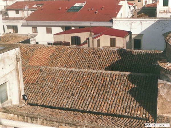 sar (4)