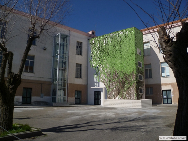 scmont (1)