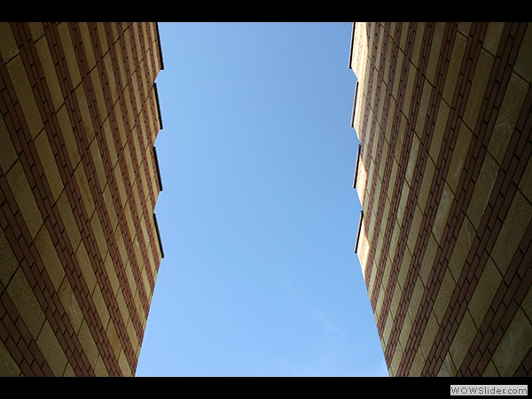 sf (6)
