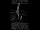 argo_017