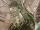 basent (1)