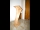 smann02